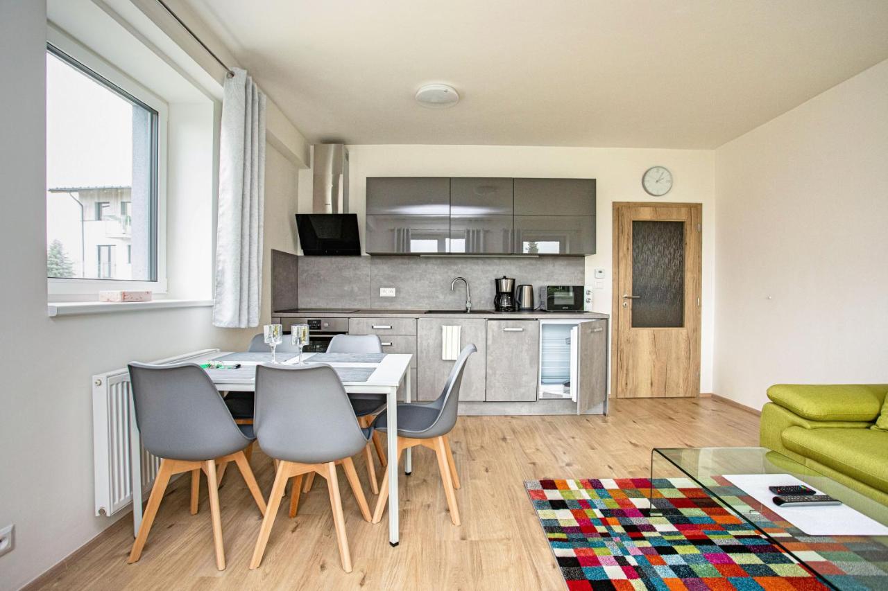Green Apartment Klinovec By Mountain Ways Loučná pod Klínovcem Eksteriør bilde