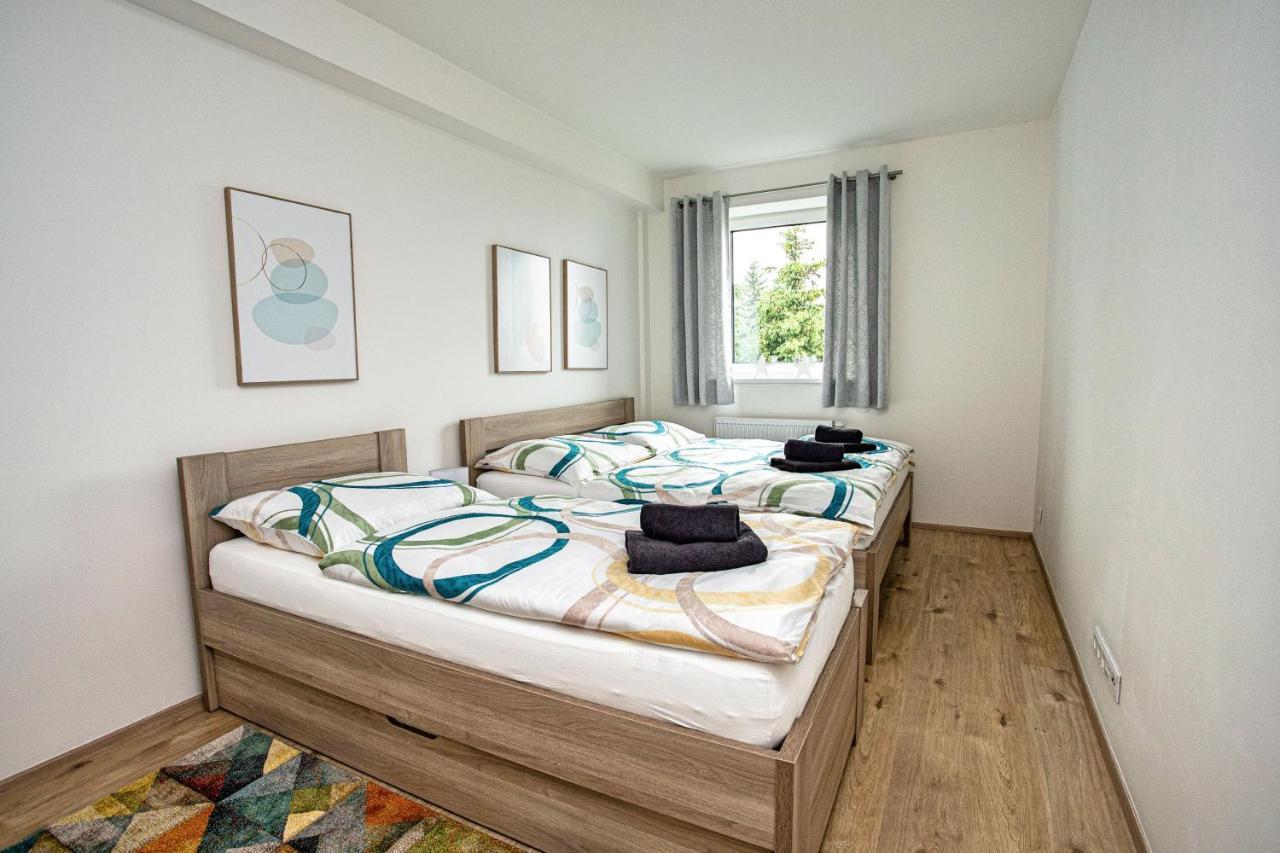 Green Apartment Klinovec By Mountain Ways Loučná pod Klínovcem Eksteriør bilde