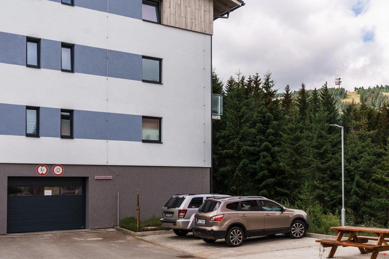 Green Apartment Klinovec By Mountain Ways Loučná pod Klínovcem Eksteriør bilde