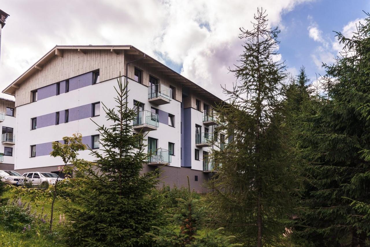 Green Apartment Klinovec By Mountain Ways Loučná pod Klínovcem Eksteriør bilde