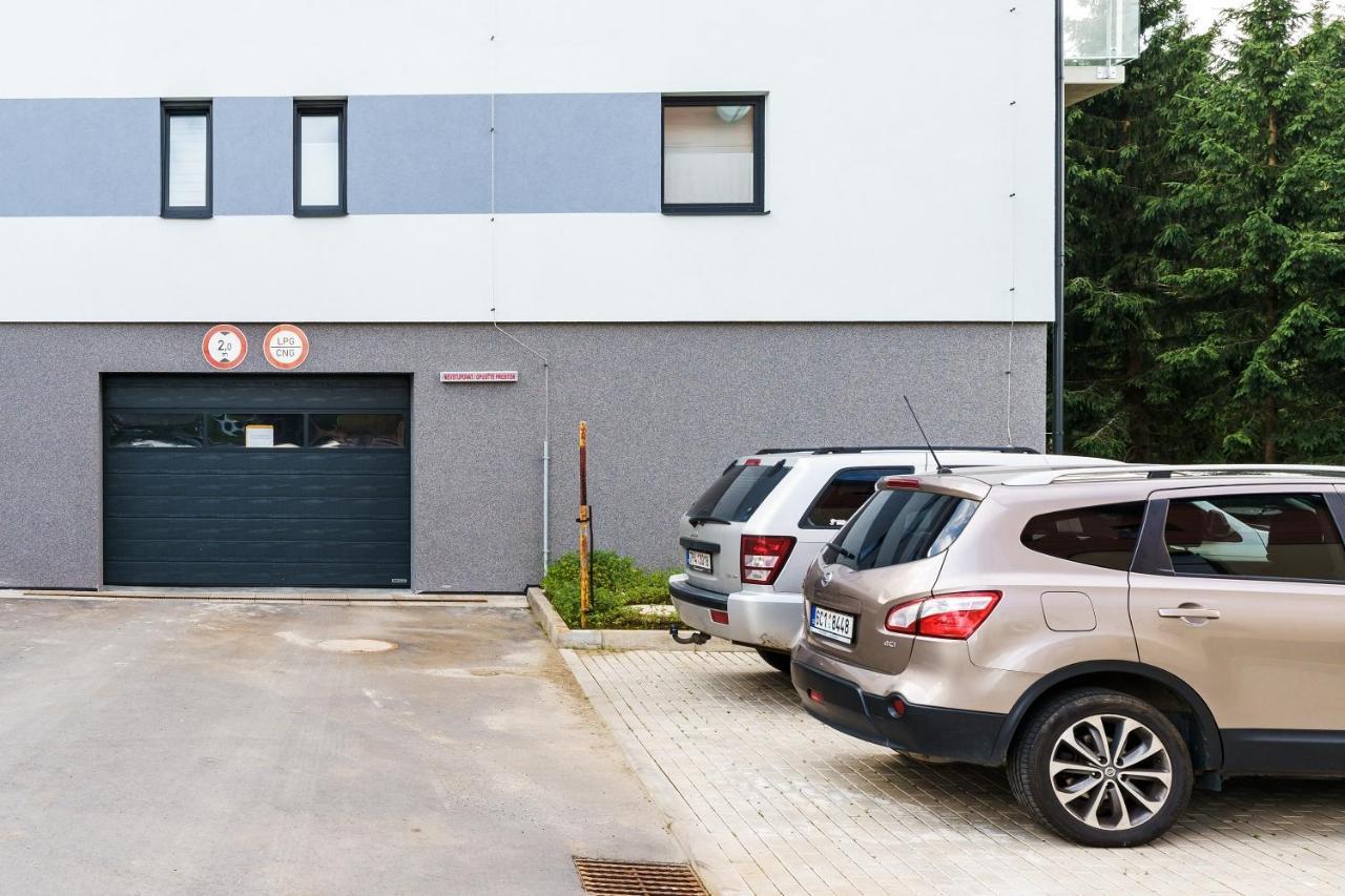 Green Apartment Klinovec By Mountain Ways Loučná pod Klínovcem Eksteriør bilde