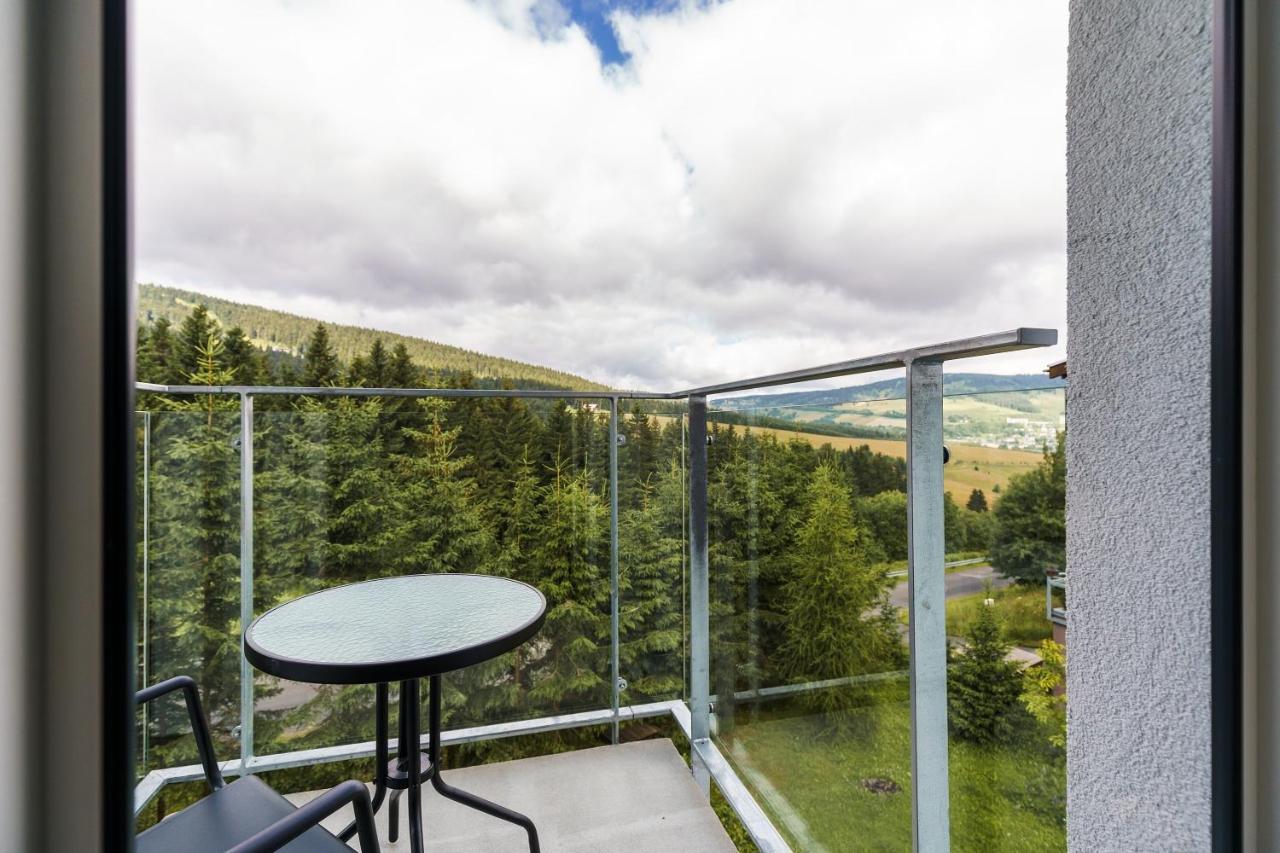 Green Apartment Klinovec By Mountain Ways Loučná pod Klínovcem Eksteriør bilde