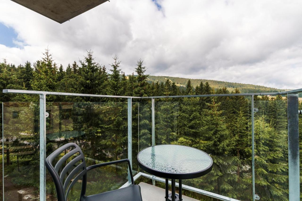 Green Apartment Klinovec By Mountain Ways Loučná pod Klínovcem Eksteriør bilde